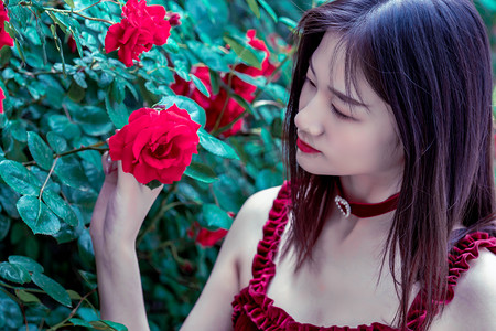 王毅会见巴基斯坦副总理兼外长达尔